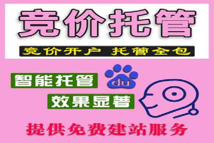 案例分享：SEM竞价托管助力企业增长